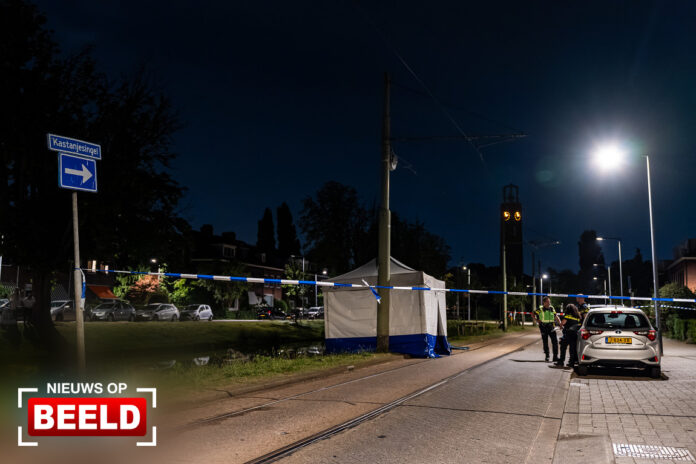 Persoon uit sloot gehaald en overleden Kastanjesingel Rotterdam