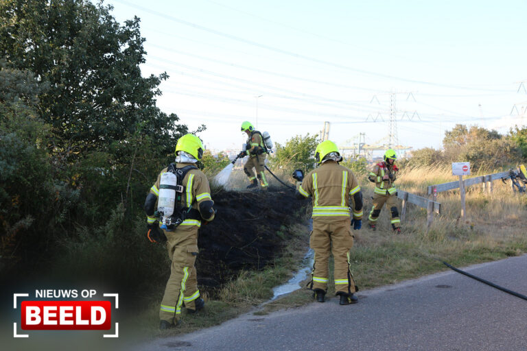 Bermbrand aan noordoever Oostvoornse Meer Oostvoorne