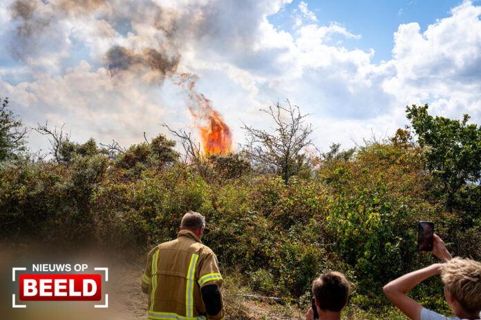 Natuurbrand in duinen opgeschaald naar GRIP 2 Oosterduinpad Ouddorp