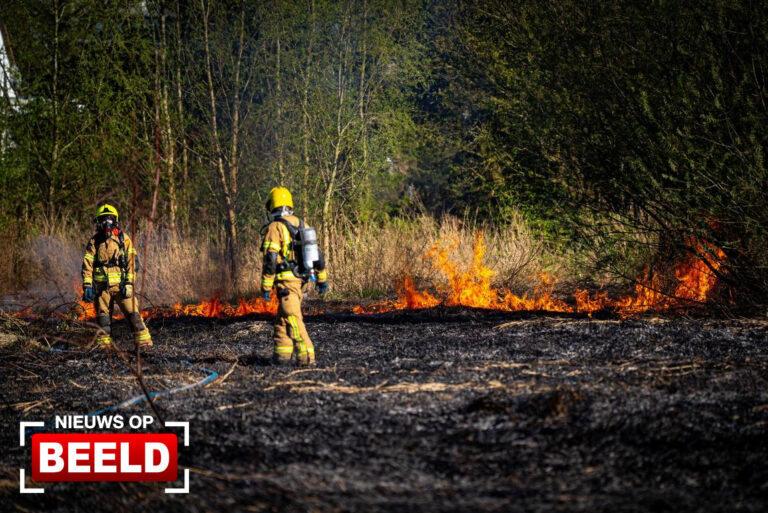 Grote brand uitgebroken in natuurgebied bij Oostrum (Limburg)