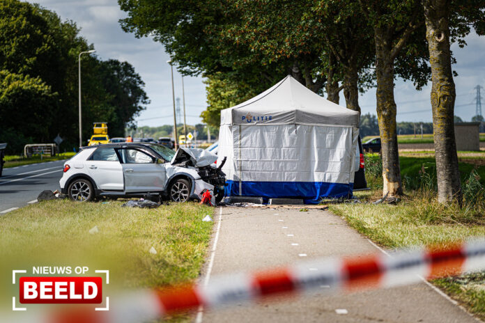 Automobilist omgekomen na botsing tegen boom Maasdamseweg ‘s-Gravendeel