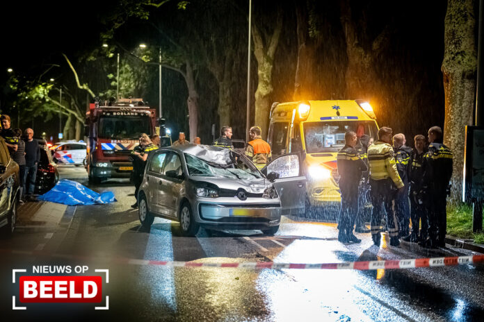 Paard overleden na aanrijding met auto Kralingse Plaslaan Rotterdam