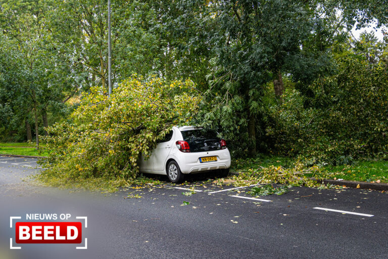 Boom valt op geparkeerde auto door harde wind Slinge Rotterdam