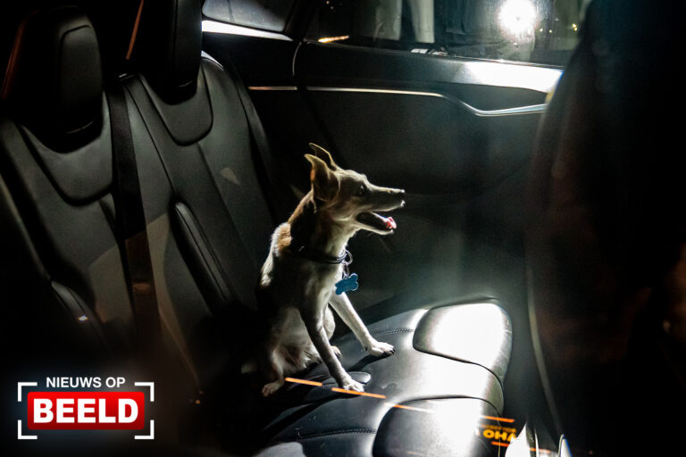 Hond urenlang opgesloten in auto bij Ahoy Ahoyplein Rotterdam