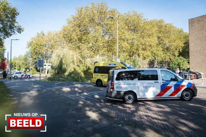 Fietser gewond na val van boom Catullusweg Rotterdam